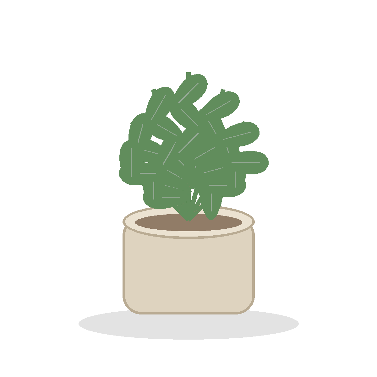 Potted plant